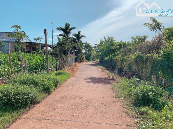 Bán khoảng 2 sào (2069m2) đất xã Láng Lớn, huyện Châu Đức, BRVT. - 1