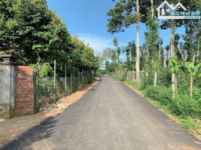 BÁN VƯỜN SẦU RIÊNG 1.2 MẪU MT ĐƯỜNG NHỰA, CÓ NHÀ, CÓ THỔ CƯ, VIEW SUỐI, GIÁ CỰC TỐT - 1