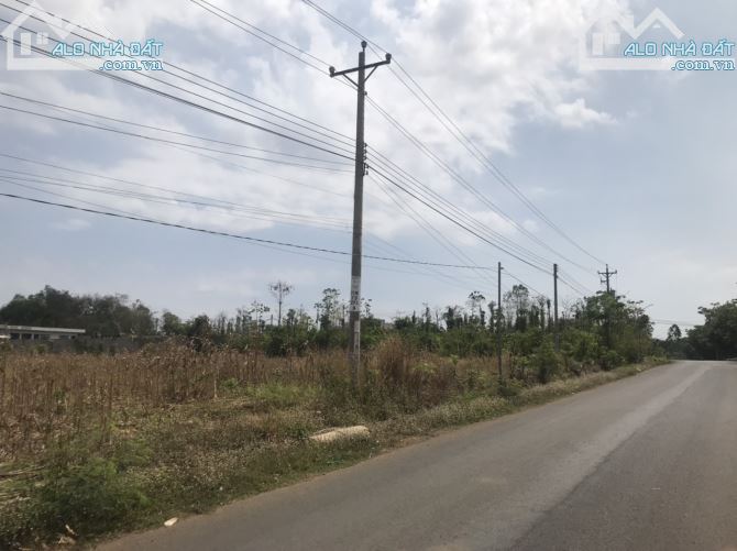 BÁN GẤP HƠN 3 SÀO MT ĐG LÁNG LỚN. 145TR/M NGANG - 1