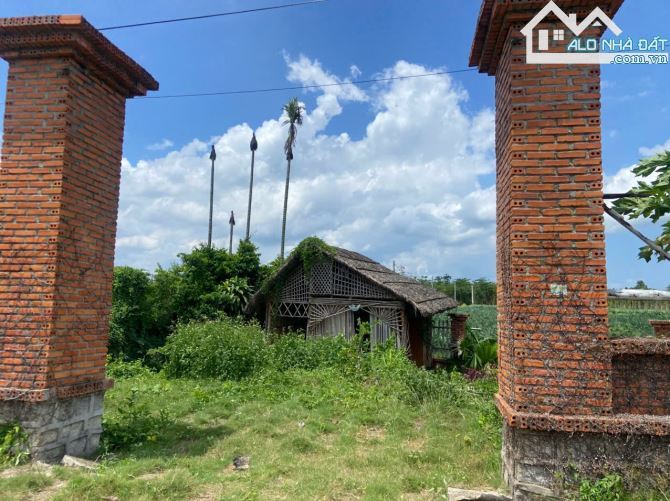 Bán chiếc View 2 mặt tiền đường - Đá Bạc Châu Đức - Bà Rịa Vũng Tàu -1,2 Tỷ - 1