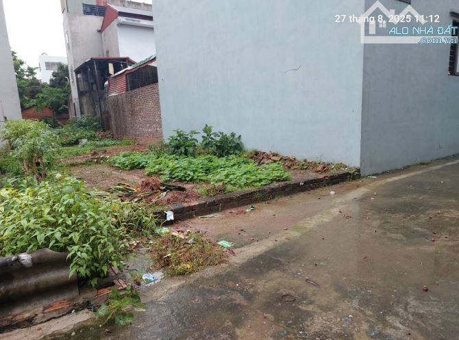 Bán đất Quang Minh 68m2, mt4.5m, 3.65 tỷ, ô tô, Mê Linh. - 1