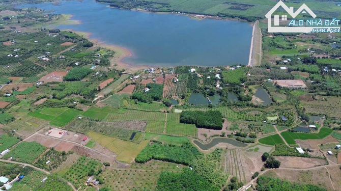Bán 92.638m2 đất Hồ Đá Bạc Châu Đức Bà Rịa Vũng Tàu giá 1.5 triệu/m2 - 1