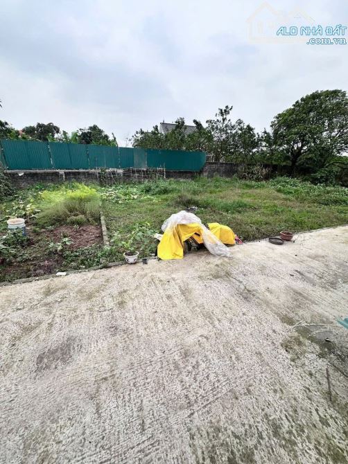 📣📣📣Đất xóm 1 - Chương Dương - Thường Tín - Hà Nội  ⛔️Diện tích: 50m2  ⛔️Mặt tiền: 4.39m - 1