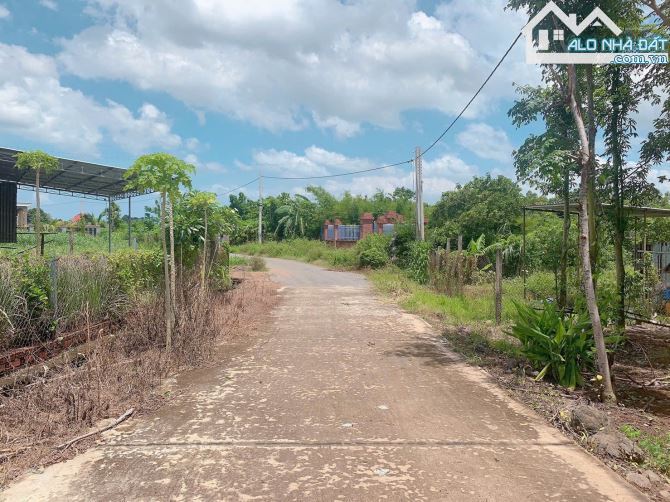 Bán khoảng 3 sào 3 (3308m2) đất xã Đá Bạc, huyện Châu Đức, BRVT. - 1