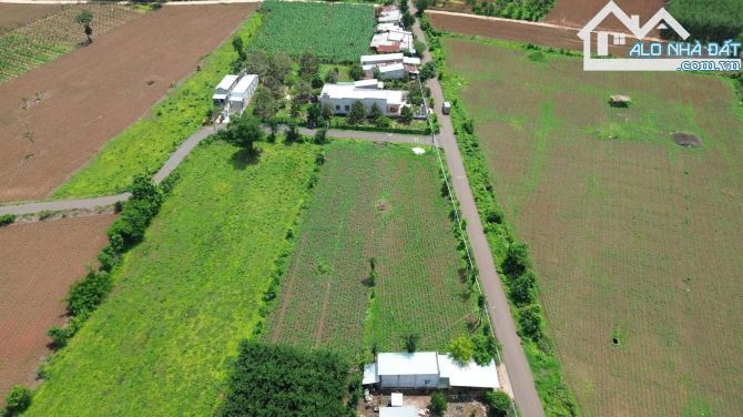 Đất Xã Bình Trung - Khu Dân Cư - Gần Uỷ Ban - Trường Học - Chợ - 1