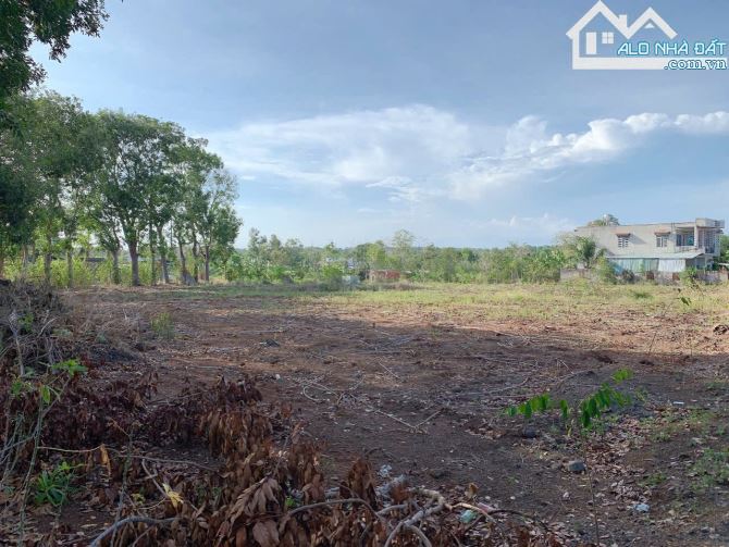Bán khoảng 5 sào 1 (5124m2) đất Bình Ba, huyện Châu Đức, BRVT. - 1