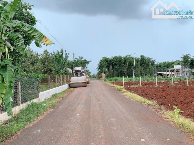 Bán khoảng 4 sào 7 (4689m2) đất Bình Ba, huyện Châu Đức, BRVT. - 1