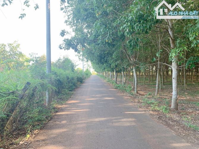 Bán khoảng 3 sào 4 (3482m2) đất Bình Ba, huyện Châu Đức, BRVT. - 1