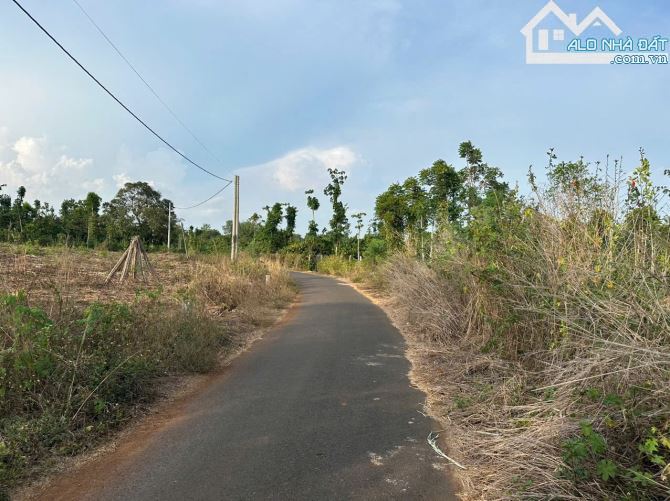 Bán khoảng 7 sào 7 (7701m2) đất Bình Ba, huyện Châu Đức, BRVT. - 1