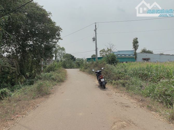 Bán khoảng gần 2 sào (1958m2) đất Bàu Chinh, huyện Châu Đức, BRVT. - 1