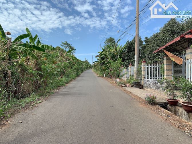Bán khoảng 3 sào 4 (3411m2) đất Bàu Chinh, huyện Châu Đức, BRVT. - 1