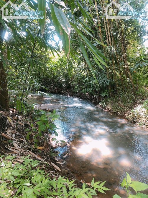 Bán khoảng 3 mẫu (30.193m2) đất Kim Long, huyện Châu Đức, BRVT. - 1