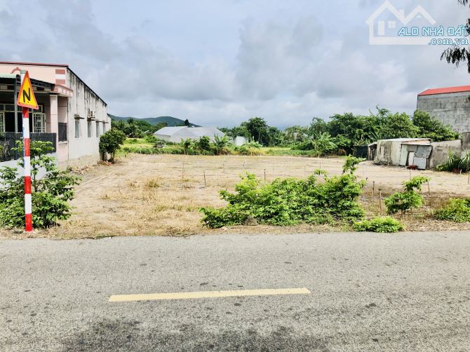 HƯỚNG ĐÔNG NAM-View lúa và núi yên bình-Dt:2000m2-có 28m mặt tiền-nở hậu 65m-200 thổ cư - 1