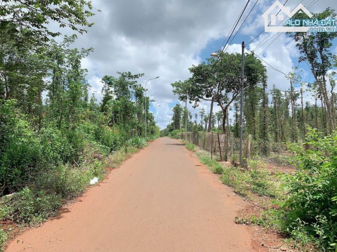 Bán khoảng 3 sào (3019m2) đất Kim Long, huyện Châu Đức, BRVT. - 1