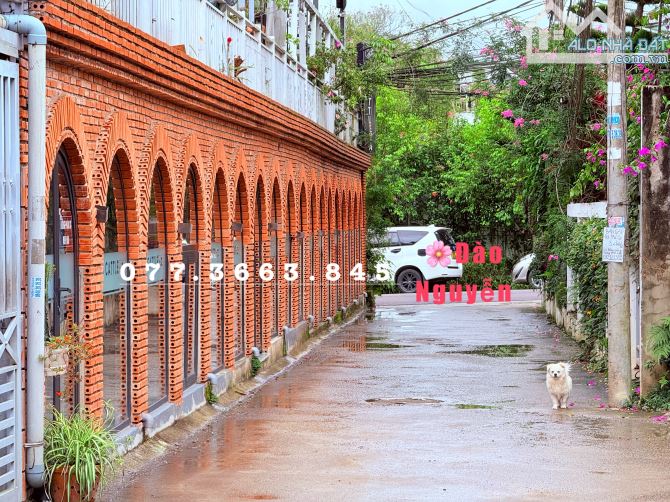 VILLA SÂN VƯỜN ĐÀ LẠT TRUNG TÂM CỦA NGHỈ DƯỠNG - 1