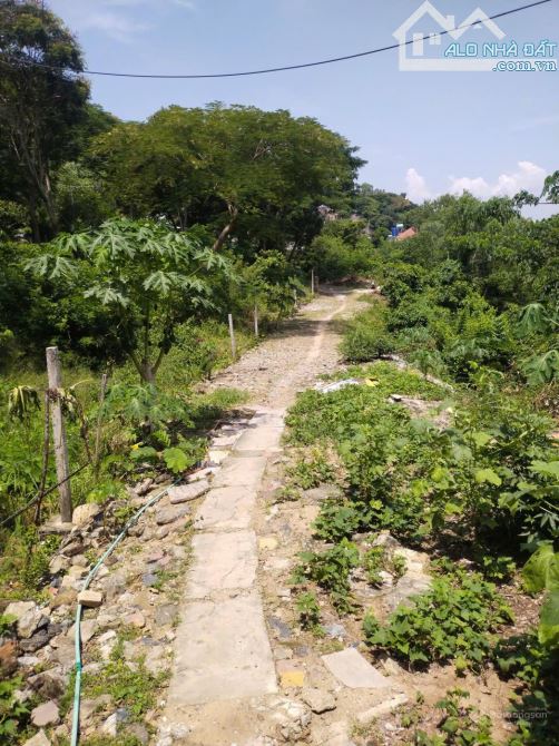 Bán đất tại Vi Ba, Thắng Nhì, Vũng Tàu 20 tỷ, 1476 m2 giá cực chất uy tín - 1