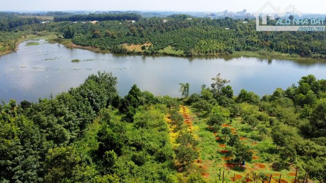 BÁN GẤP 2,9HA ĐẤT MẶT TIỀN BÊ TÔNG XÃ NHÂN CƠ. ĐANG CÓ NGUỒN THU TỐT - 1