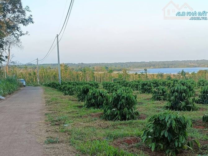 Cần bán 11 x 50 đất view hồ. đất thị trấn kim Long huyện châu Đức brvt - 1