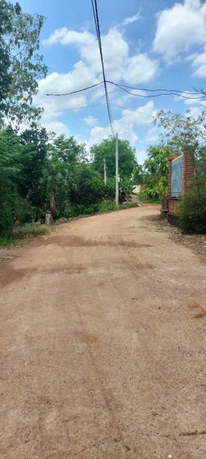 BÁN 1100M2  ĐẤT TRỒNG TIÊU TẠI THI TRẤN KIM LONG, CHÂU ĐỨC, SAT NHỰA, GIÁ CHỈ 1TI150TR - 1