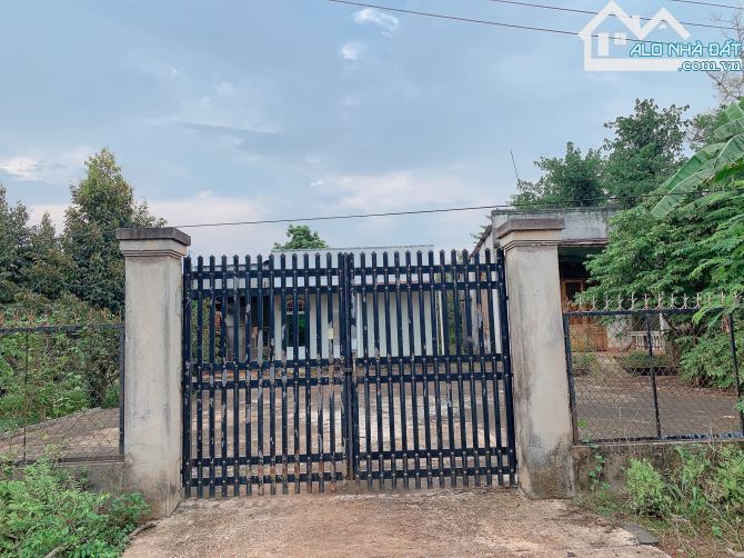 Bán khoảng 9 sào (9056m2) đất Bàu Chinh, huyện Châu Đức, BRVT. - 1