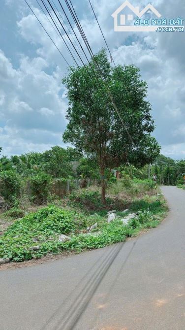 Cần tiền trả nợ Ngân Hàng Tôi cần bán lô góc 2 mặt tiền 9x38 giá 6,7 Triệu/m2 Sổ đỏ - 1