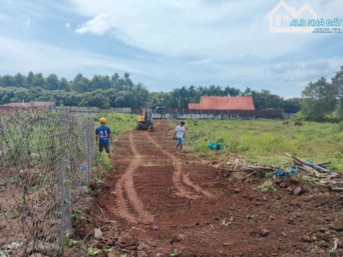 SỈ 3 LÔ ĐẤT 1000M2_12002 ĐƯỜNG BÊ TÔNG 5M GIÁ 2,3 TỶ - 1