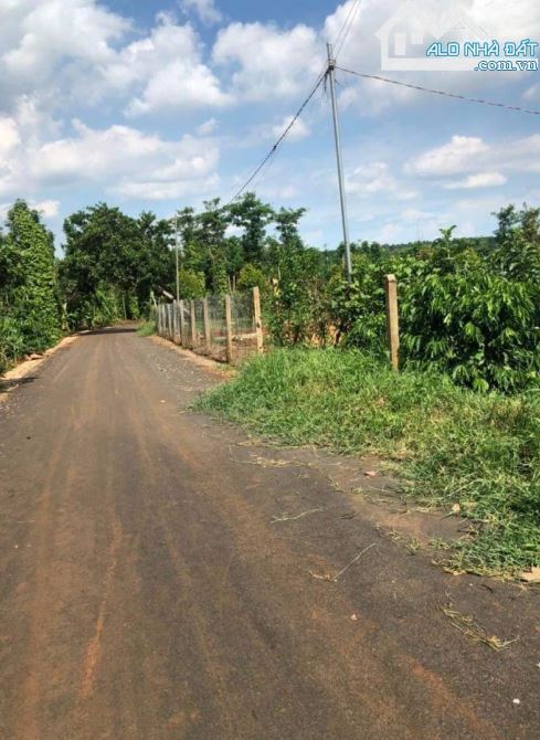 CẦN BÁN 2 SÀO ĐẤT BÀU CHINH ĐƯỜNG NHỰA BÀU CHINH GIÁ 3,1 TỶ - 1
