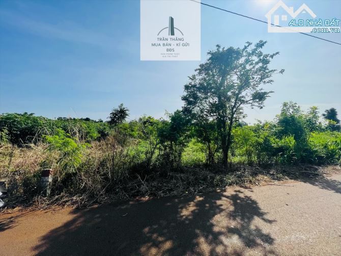 Đất Bình Trung - Khu Dân Cư - Thích Hợp Xây Nhà - 1