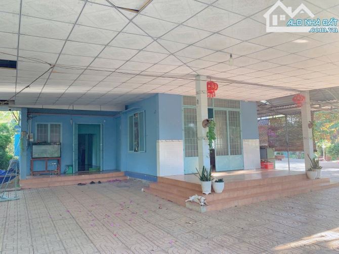 Bán khoảng 6 sào 1 (6115m2) đất Đá Bạc, huyện Châu Đức, BRVT. - 1