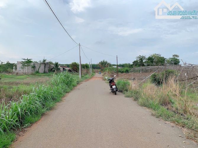 Bán khoảng 4 sào 8 (4793m2) đất Đá Bạc, huyện Châu Đức, BRVT. - 1