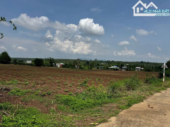 Đầu tư đất đẹp Châu Đức đừng bỏ qua lô này: 2.942m2 phủ hồng phân được 12 lô đã có bản vẽ - 1
