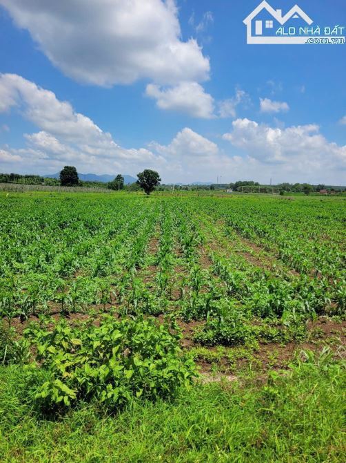 Cần bán 2.5ha đất mặt tiền DT992, ngang đến 140m tại Đá Bạc, KDC hiện hữu - 1