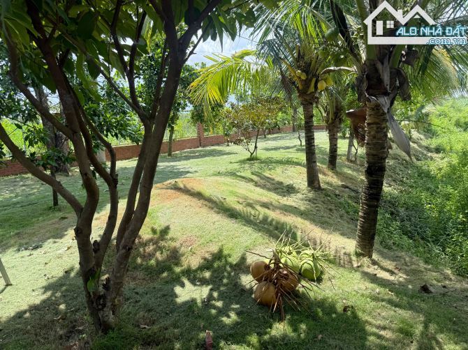 Bán Nhà Vườn Châu Đức. Chủ Đang Cần Tiền Bán Nhanh 2.3 Tỷ - 1