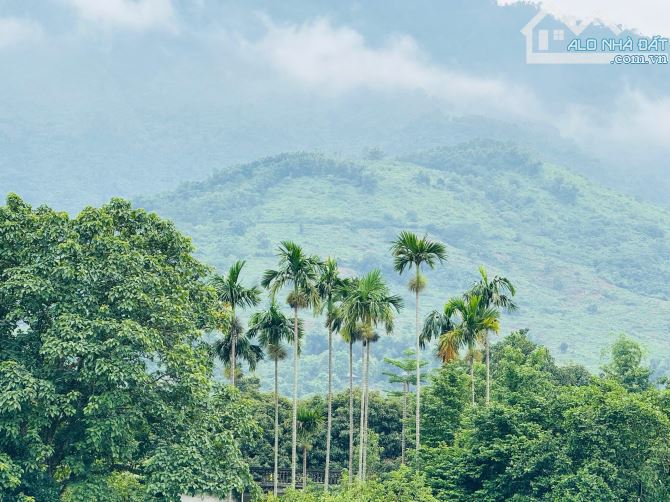 2,8HA ( 2000M2 ĐẤT Ở ) TRONG ĐẤT CÓ HỒ CÓ SUỐI THẾ ĐẤT CỰC ĐẸP - 1