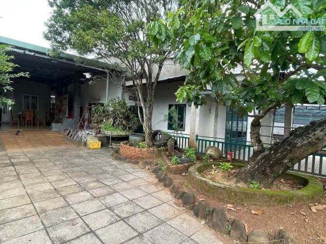 Bán căn nhà vườn trảng bom đồng nai 800m2 gần quốc lộ 1a - 1