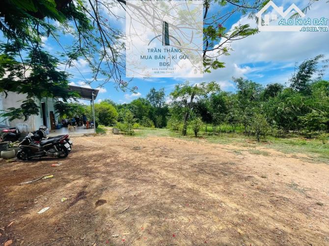 10 Mẫu Đất View Hồ - Có 300m Thổ Cư - Giáp Nước - 1.000m Mặt Tiền Đường Nhựa - 12