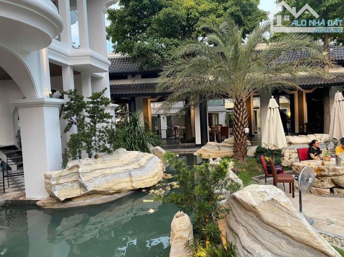 Bán Khuôn đất siêu khan hiếm mặt tiền. Dương Quảng Hàm - Q.Gò Vấp . 50 x 100m - 12