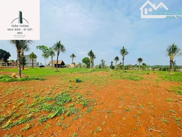 Đất View Hồ Sông Ray Giáp mặt nước - 12