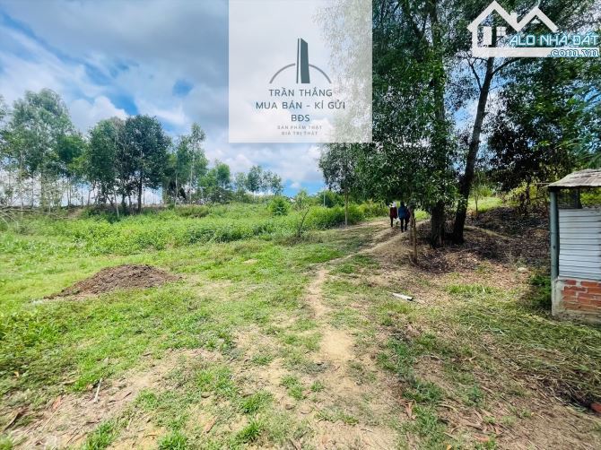 10 Mẫu Đất View Hồ - Có 300m Thổ Cư - Giáp Nước - 1.000m Mặt Tiền Đường Nhựa - 15