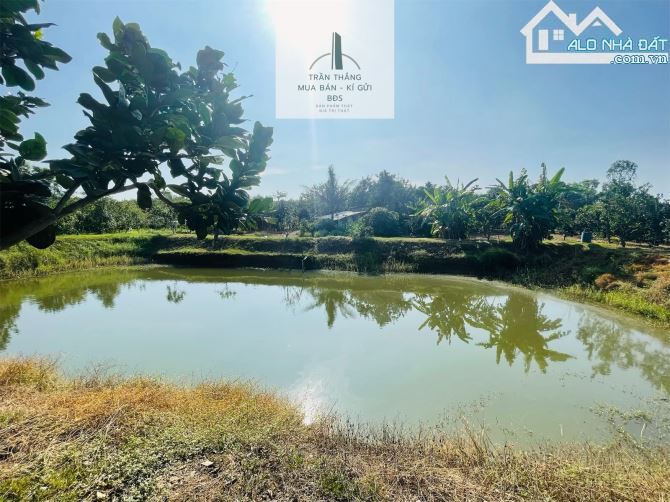Đất Mẫu có Thổ cư -  nhà - Vườn Cây Ăn Trái thích hợp nghĩ dưỡng - 15