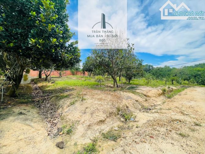10 Mẫu Đất View Hồ - Có 300m Thổ Cư - Giáp Nước - 1.000m Mặt Tiền Đường Nhựa - 16