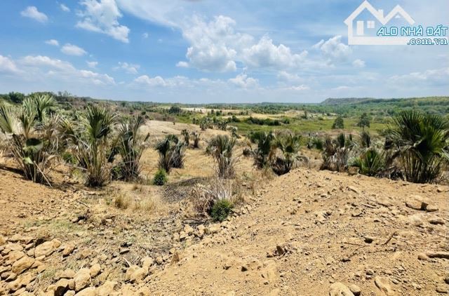 Đất Vỉew Hồ Suối Rao khoảng 400m giáp mặt hồ, đường nhựa ô tô vào tận nơi - 17