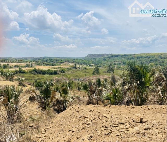 Đất Vỉew Hồ Suối Rao khoảng 400m giáp mặt hồ, đường nhựa ô tô vào tận nơi - 19