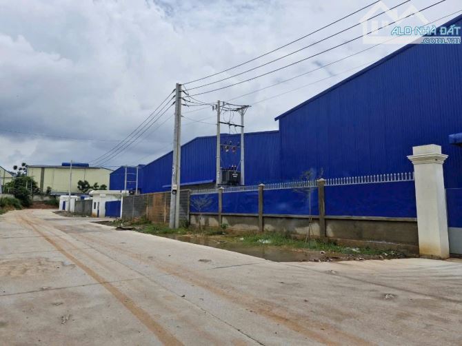 Chủ Gửi Bán 4,1ha đất P. An Điền, TP BẾN CÁT, Bình Dương Giá chỉ 1,8tr/m2. - 2
