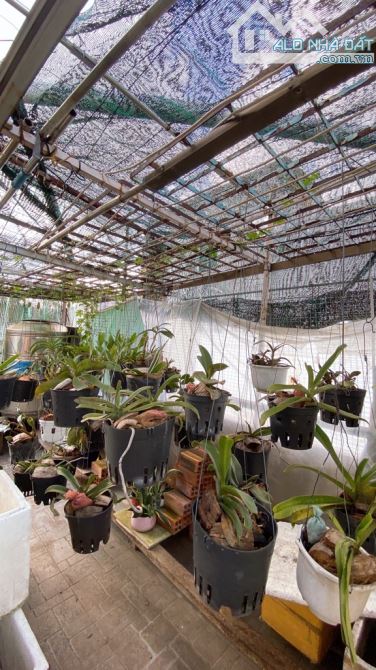 🌺🌺 CÁCH MẠNG THÁNG 8, 47M2, 4 TẦNG, 3 WC. GIÁ: 4,7 TỶ 🌺🌺 - 2