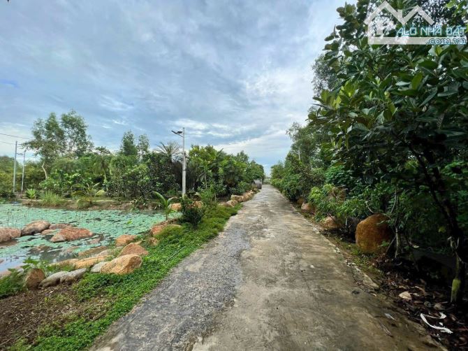 Cần bán đất + nhà vườn view kênh sông sài gòn đường Cây Gõ Xã An Nhơn Tây 4200m2 2000m thổ - 2