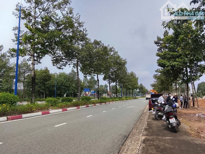 🔥 ĐẤT NỀN MỸ PHƯỚC 3 – MẶT TIỀN VÀNH ĐAI 4 – GIÁ CHỈ TỪ 690 TRIỆU SỞ HỮU NGAY 🔥 - 2