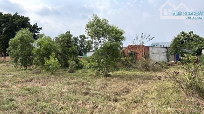 Lô Đất Cực Đẹp, Diện Tích Khủng 300m2, 3 Bước Ra Đường Lò Lu, Chỉ 4,5 Tỷ TL. - 2