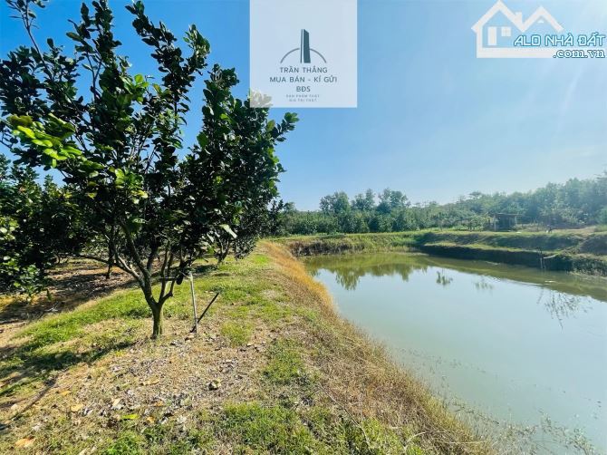 Đất Mẫu có Thổ cư -  nhà - Vườn Cây Ăn Trái thích hợp nghĩ dưỡng - 2