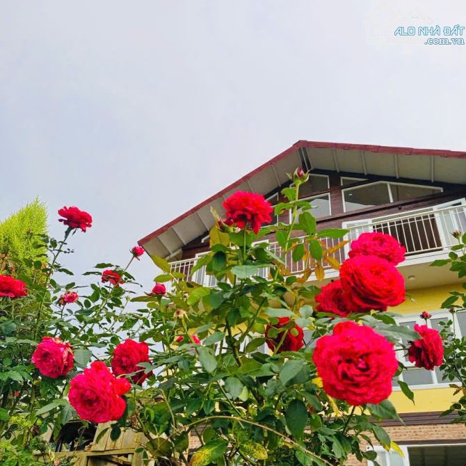 Chỉ 3,9 tỷ có ngay Biệt thự nghỉ dưỡng và vườn sầu riêng, giáp suối, view đỉnh, săn mây. - 2
